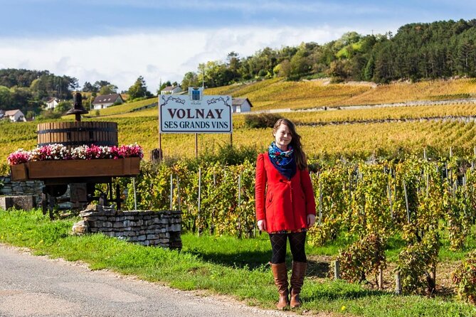 Full Day Private Tour 10 Premier & Grand Cru Vineyards, The Best Of Burgundy Tour Overview