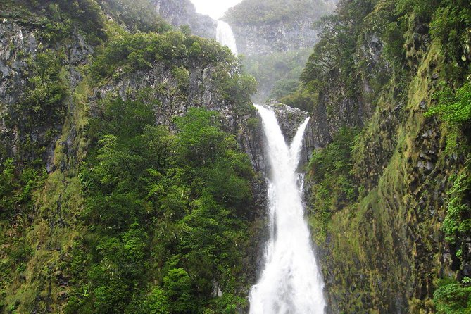 Full Day Rabacal Levada Walk From Funchal Explore The Levada Trail