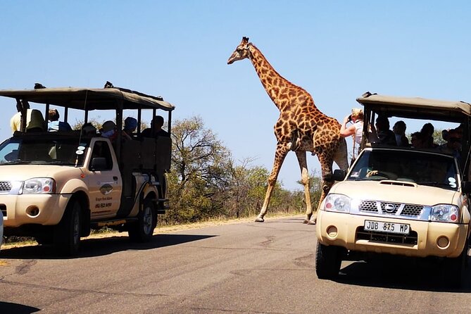 Full Day Safari Shared Tour At Kruger National Park Whats Included In The Tour