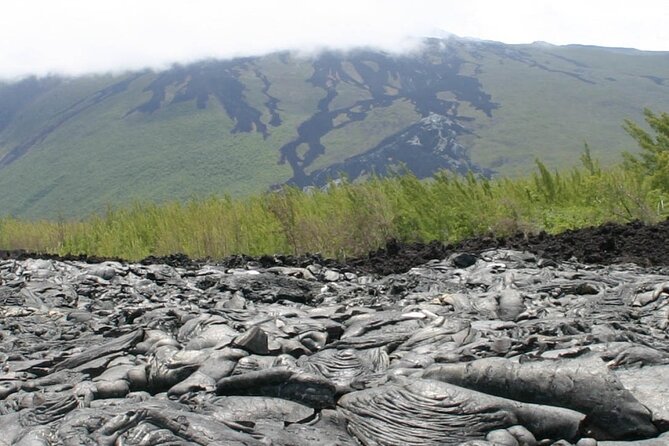 Full Day Tour Of Reunion Island With Breakfast Excursion Highlights