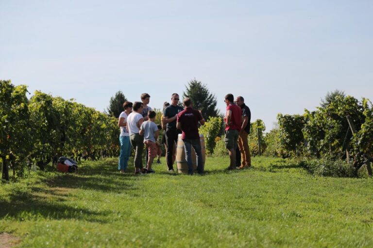 Full Day Wine Tour With Lunch At The Winery: Vouvray & Chinon Tour Details