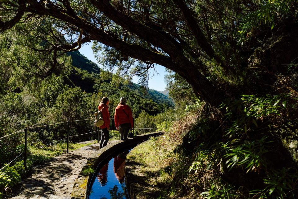 Funchal and Caniço: Rabaçal Hiking Trip With Transfer - Overview and Pricing