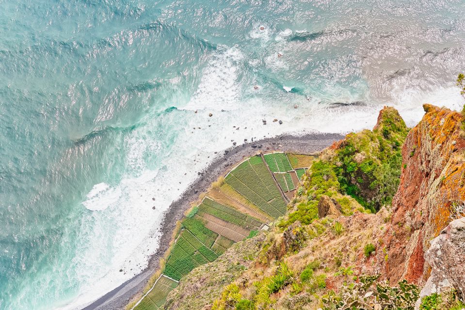 Funchal: Dolphin and Whale Watching Sailing Trip - Activity Overview