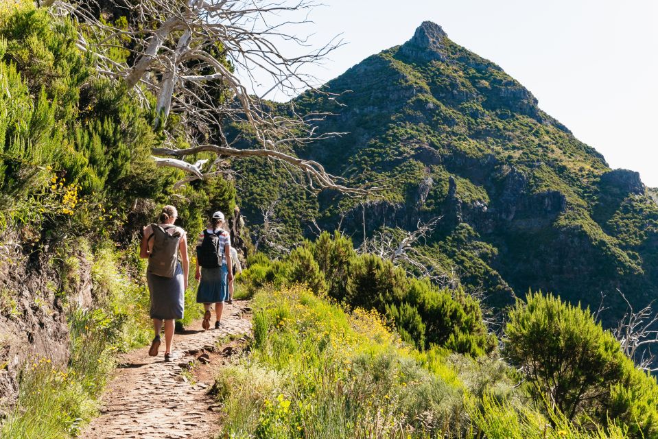 Funchal: Sunrise Hike From Pico Do Arieiro to Pico Ruivo - Activity Overview