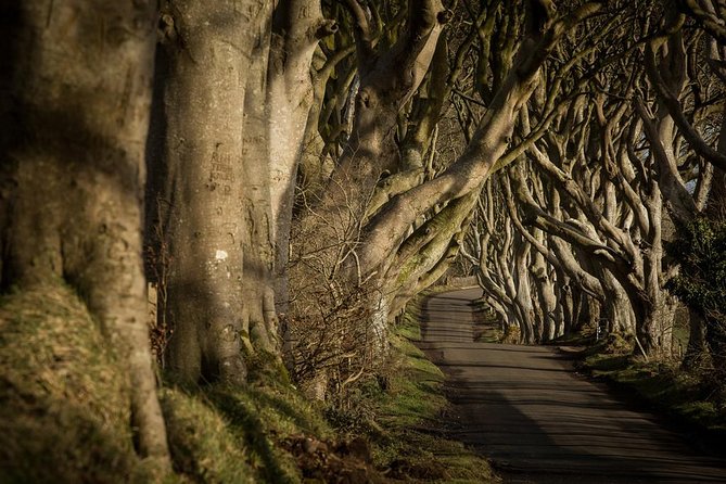 Giants Causeway and More Including Titanic Experience Ticket Tour From Belfast - Tour Overview