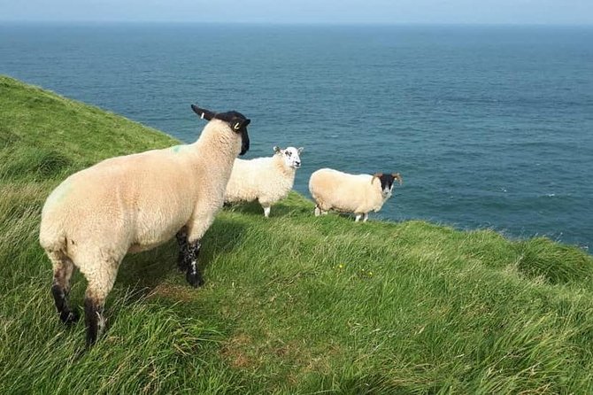 Giants Causeway Tour With Cliff Path Hike - Private Tour - Tour Overview