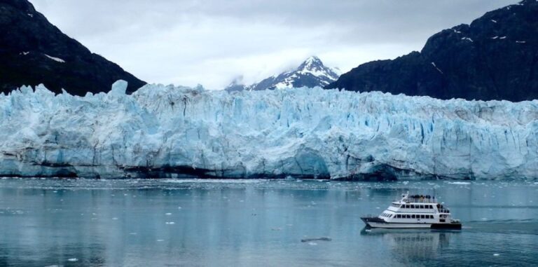 Glacier Bay: Glacier And Wildlife Catamaran Tour Tour Details