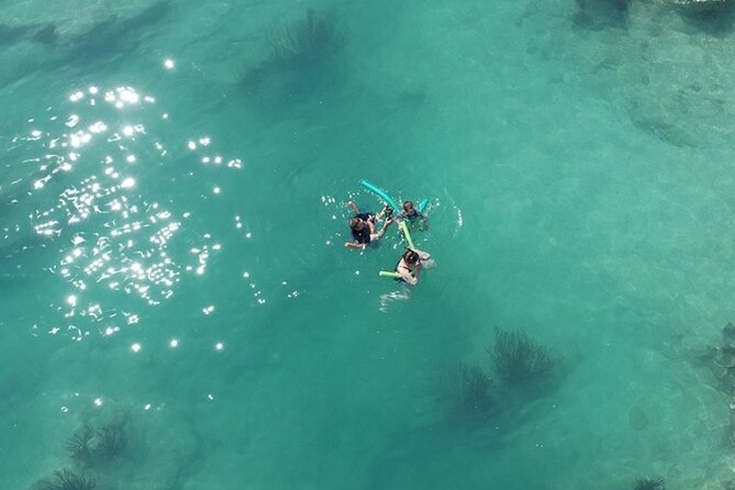 Glass Bottom Boat And Snorkeling Combo In Bermuda