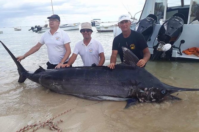 Golden Wave 3 Igfa Captain Vic Blue Marlin Fishing Catching Blue Marlin