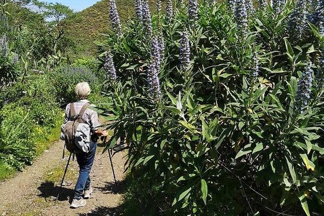 Gran Canaria Private Walks Inclusions