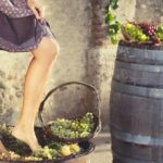 Grape Stomping In Tuscan Farmhouse From Florence Tour Highlights