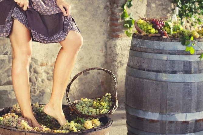 Grape Stomping in Tuscan Farmhouse From Florence - Tour Highlights