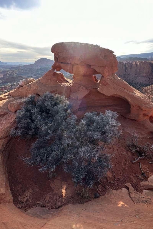 Guided Hike To Meeks Mesa Of Capitol Reef Tour Details