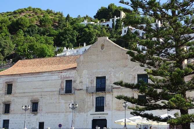 Guided Walking Tour of the Old Town of Frigiliana - Tour Details