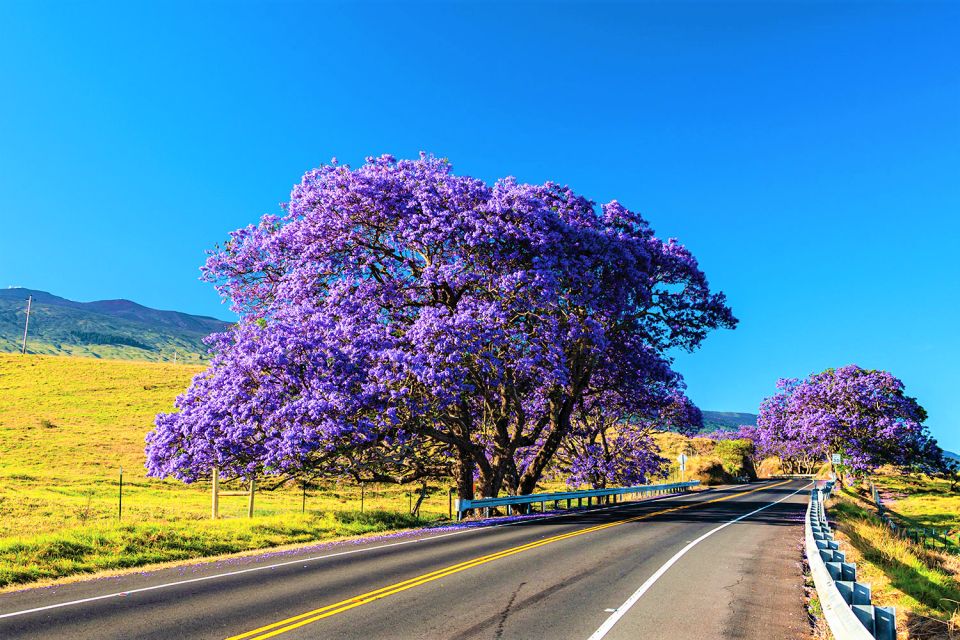 Haleakala Sunrise Guided Bike Tour With Bike Maui - Package Details