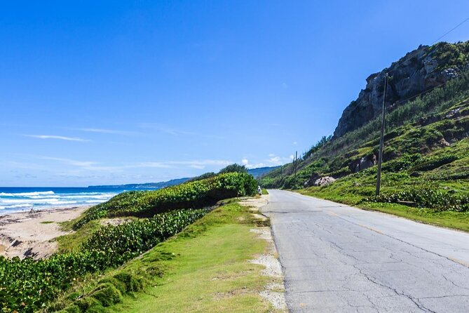 Half Day Barbados Caves And Critters Tour With Pick Up Tour Overview