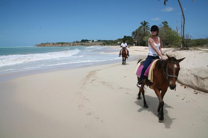 Half Day Beach Horse Back Riding In Puerto Plata Included In The Tour