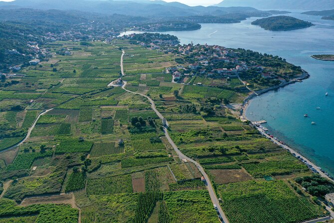 Half-Day Bike Tour in Lumbarda With Wine Tasting - Explore Korculas Countryside