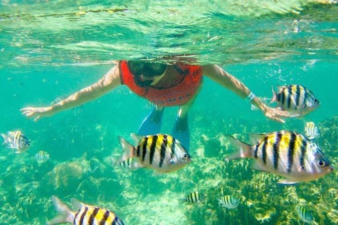 Half Day Catamaran & Snorkeling Included Activities And Amenities