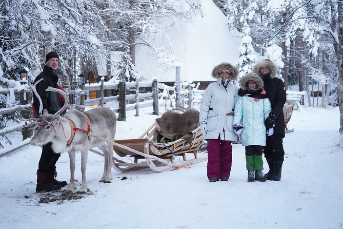 Half Day Experience In Local Reindeer Farm In Lapland Overview Of The Experience