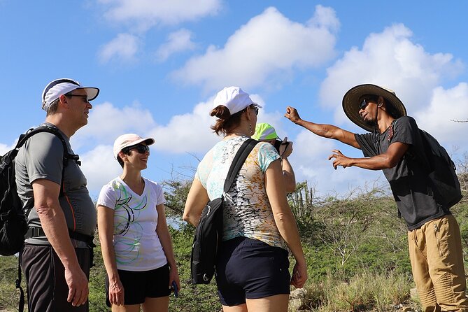 Half Day Spanish Lagoon Mangrove Trail With Private Guide Expert Private Guide Insights