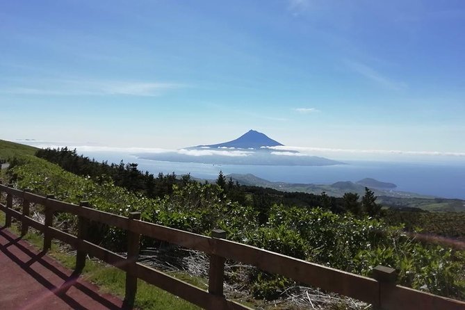 Half Day Tour Faial Island Whats Included