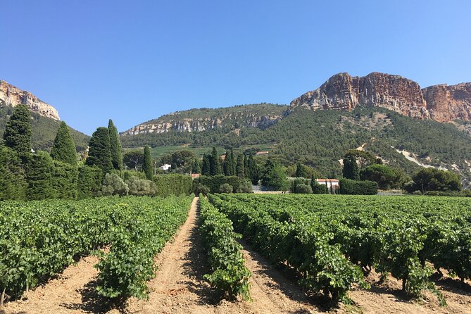 Half Day Wine Tour In Bandol & Cassis From Aix En Provence Tour Overview And Details