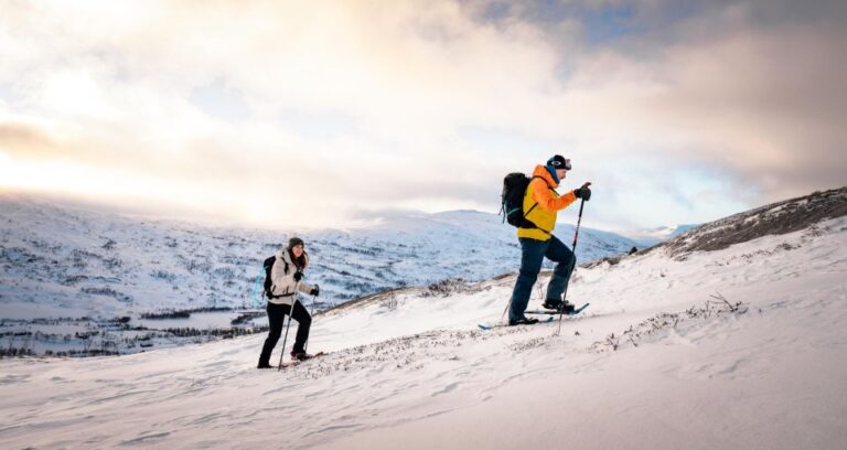 Hardangerfjord: Exclusive Snowshoe Hike With Majestic Views