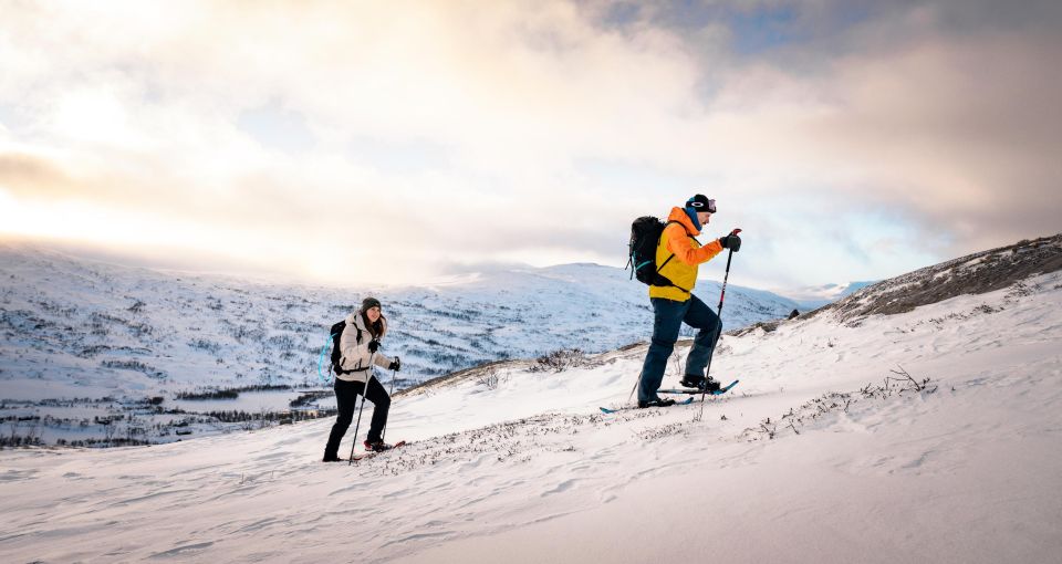 Hardangerfjord: Exclusive Snowshoe Hike With Majestic Views - Exploring Winter Wonderland