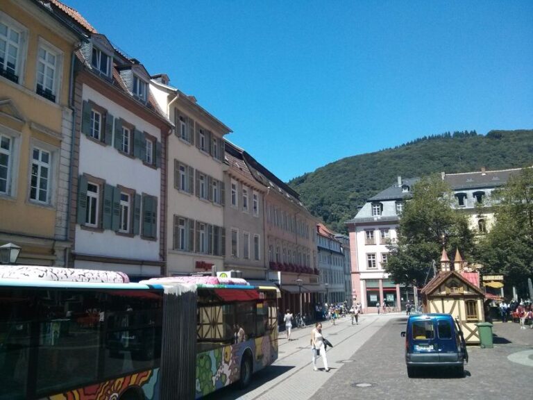 Heidelberg: Old Town Tour For School Children Overview Of The Tour