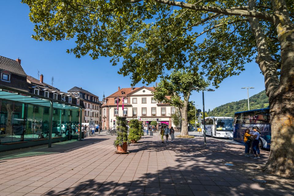 Heidelberg: Sightseeing Bus and Castle Tour - Highlights of the Tour