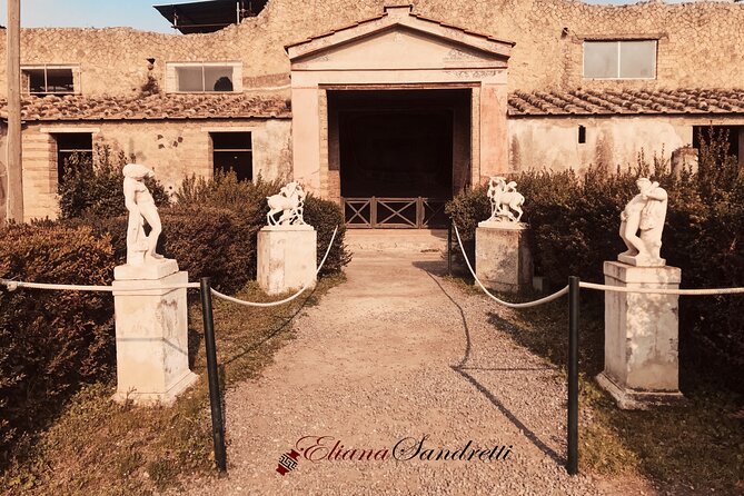 Herculaneum Private Tour With An Archaeologist Activity Description