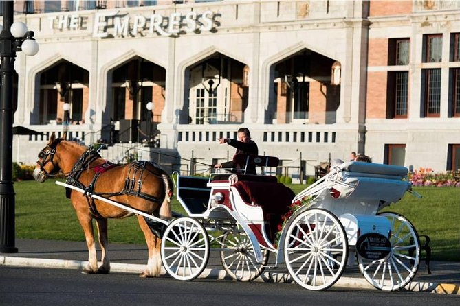 Heritage Horse Drawn Carriage Experience In Victoria Experience Overview