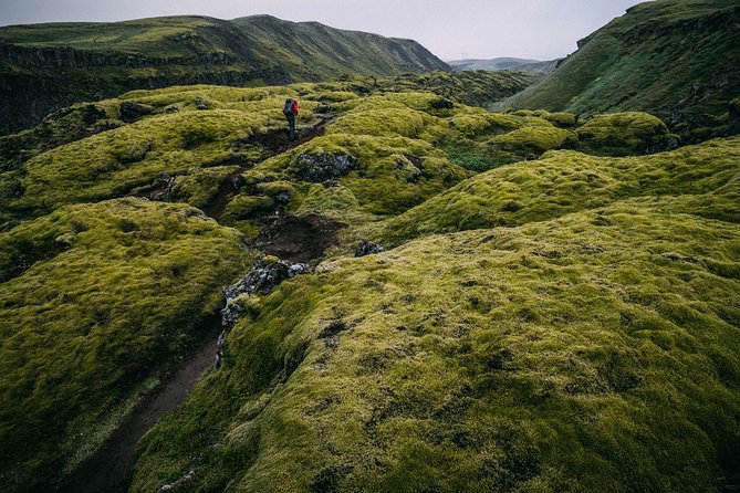 Hidden Trails of Iceland - Exploring Reykjaviks Vibrant Culture