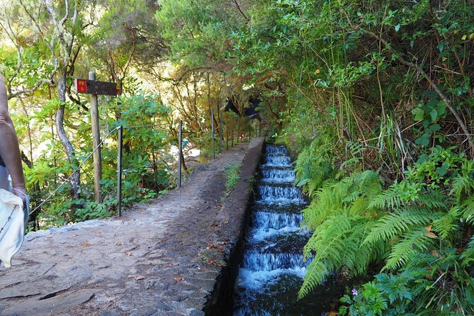 Hike 25 Fountains & Levada Risk Self Guided Hiking The Risco Levada