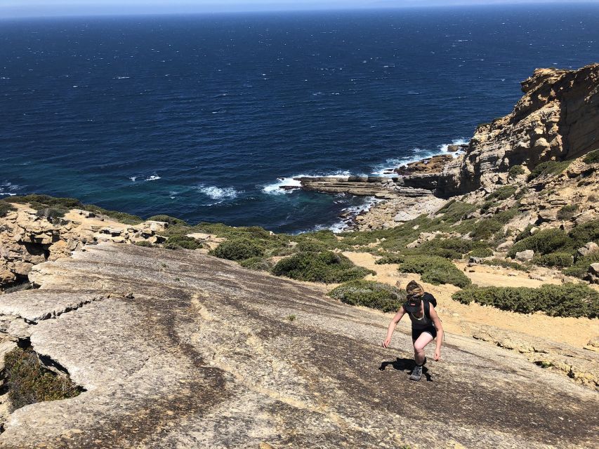 HIKE: Jurassic Dinosaur Trail Walking Tour at Cabo Espichel - Tour Overview