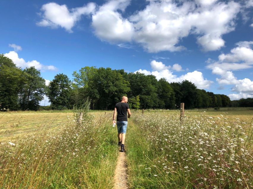 Hikes With a Picnic Backpack in the Ardennes - Activity Overview