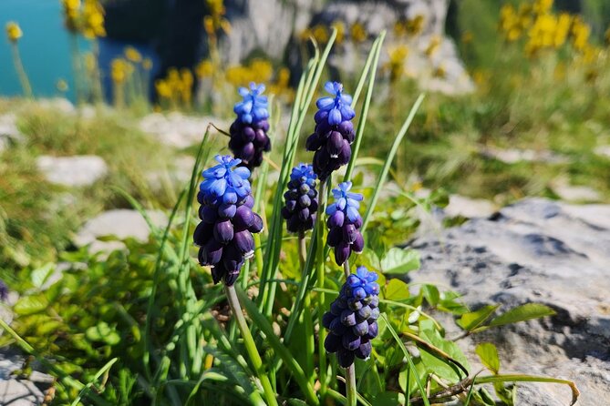 Hiking Day Tour Of Bovilla Lake & Gamti Mountain From Tirana Overview Of The Hiking Tour