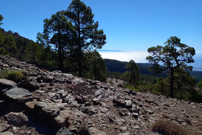 Hiking in Tenerifes Great Outdoors - Scenic Hiking Trails