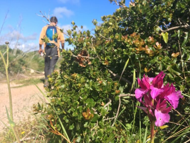 Hiking Tour To Highest Limestone Cliff In Europe Tour Overview