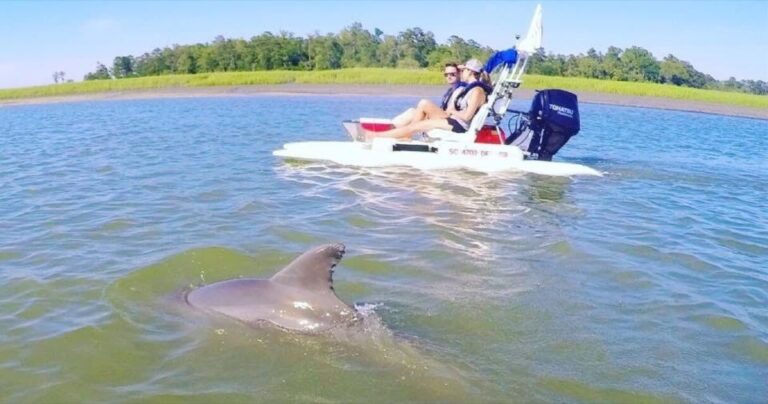 Hilton Head Island: 2 Hour Guided Creek Cat Tour Overview Of The Creek Cat Tour