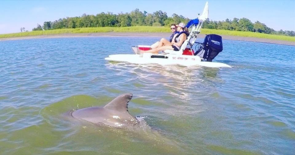 Hilton Head Island: 2-Hour Guided Creek Cat Tour - Overview of the Creek Cat Tour