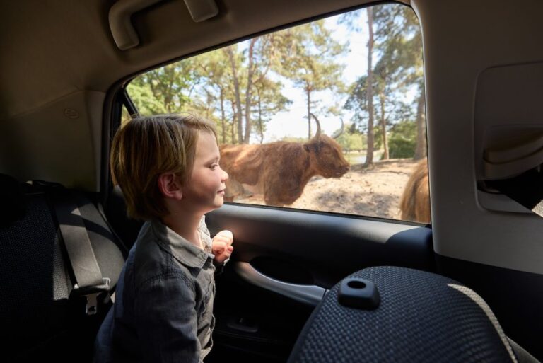 Hilvarenbeek: Beekse Bergen Safari Park Entry Ticket Ticket Information And Pricing