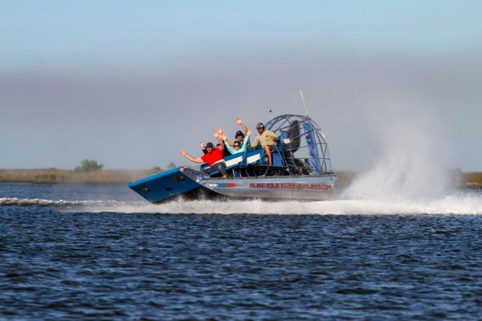 Homosassa: Gulf of Mexico Airboat Ride and Dolphin Watching - Activity Overview