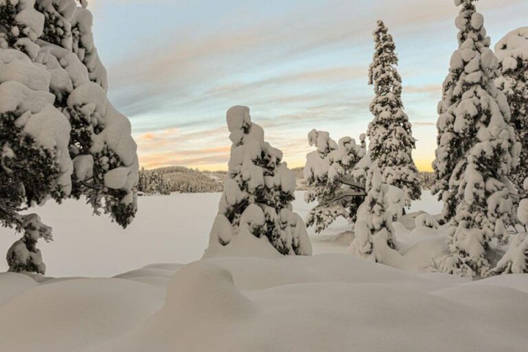 Hønefoss: 2 Day Moose Safari In Oslo's Wilderness Package Overview