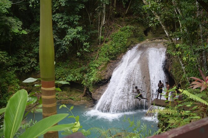 Horse Back Riding And Blue Hole From Montego Bay Schedule And Availability