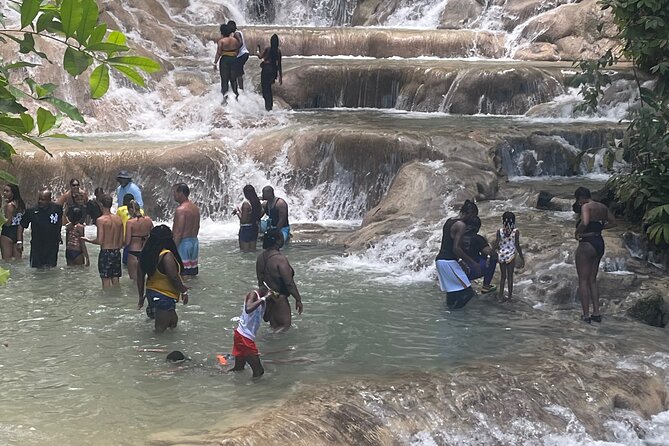 Horseback Riding And Swimming In Dunns River Falls Overview Of The Tour