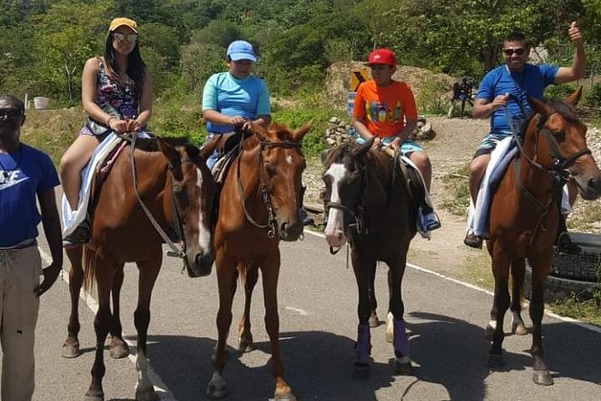 Horseback Riding From Montego Bay Horseback Riding Adventure Itinerary