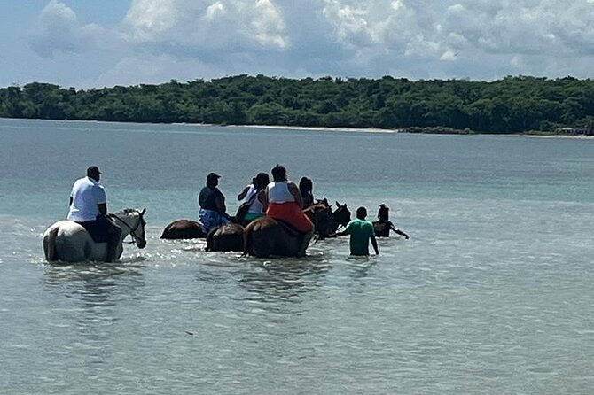 Horseback Riding In The Ocean From Ocho Rios & Runaway Bay Overview Of The Experience