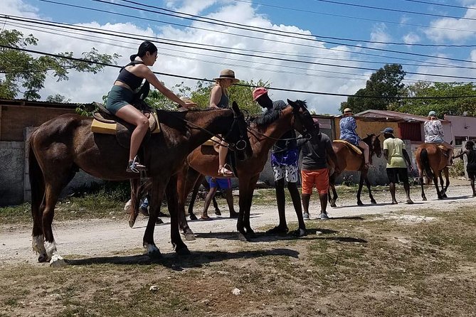 Hour Horseback Riding Guided Tour From Runaway Bay - Skill Levels and Horse Selection